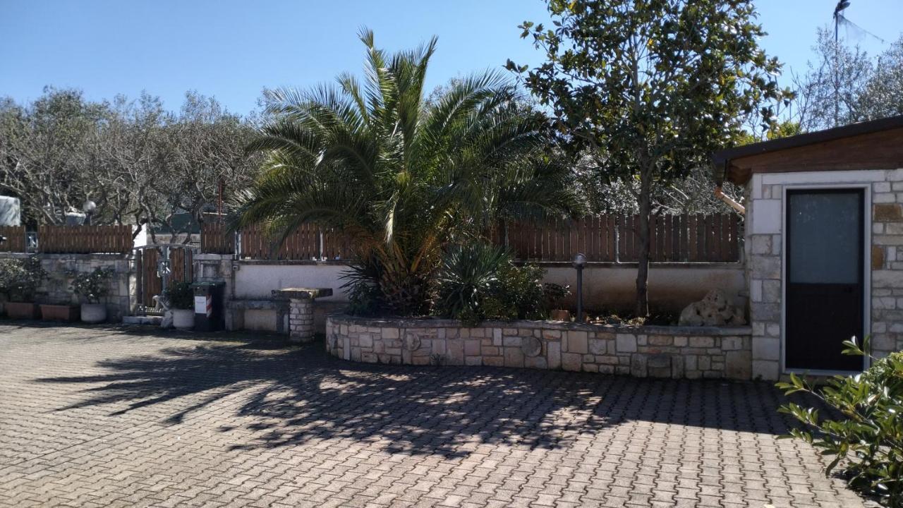 נוצ'י B&B Caffe מראה חיצוני תמונה